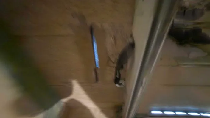 Expertise fissure Ain traversante grave Oyonnax 01