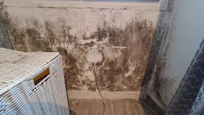 Expert humidité - Diagnostic humidité OPENGROUPE