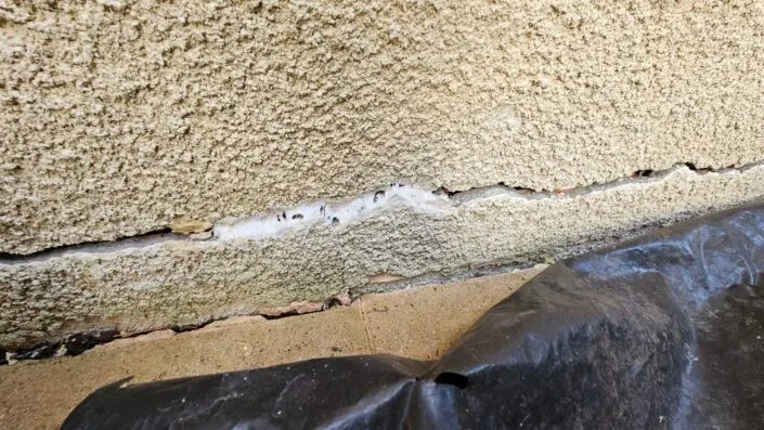 Expertise fissure Seine et Marne structurelle horizontale tassement différentiel sécheresse Chelles