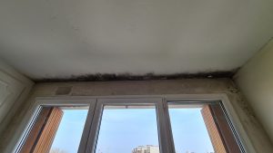 apparition de moisissures due au pont thermique à la jonction mur/plafond