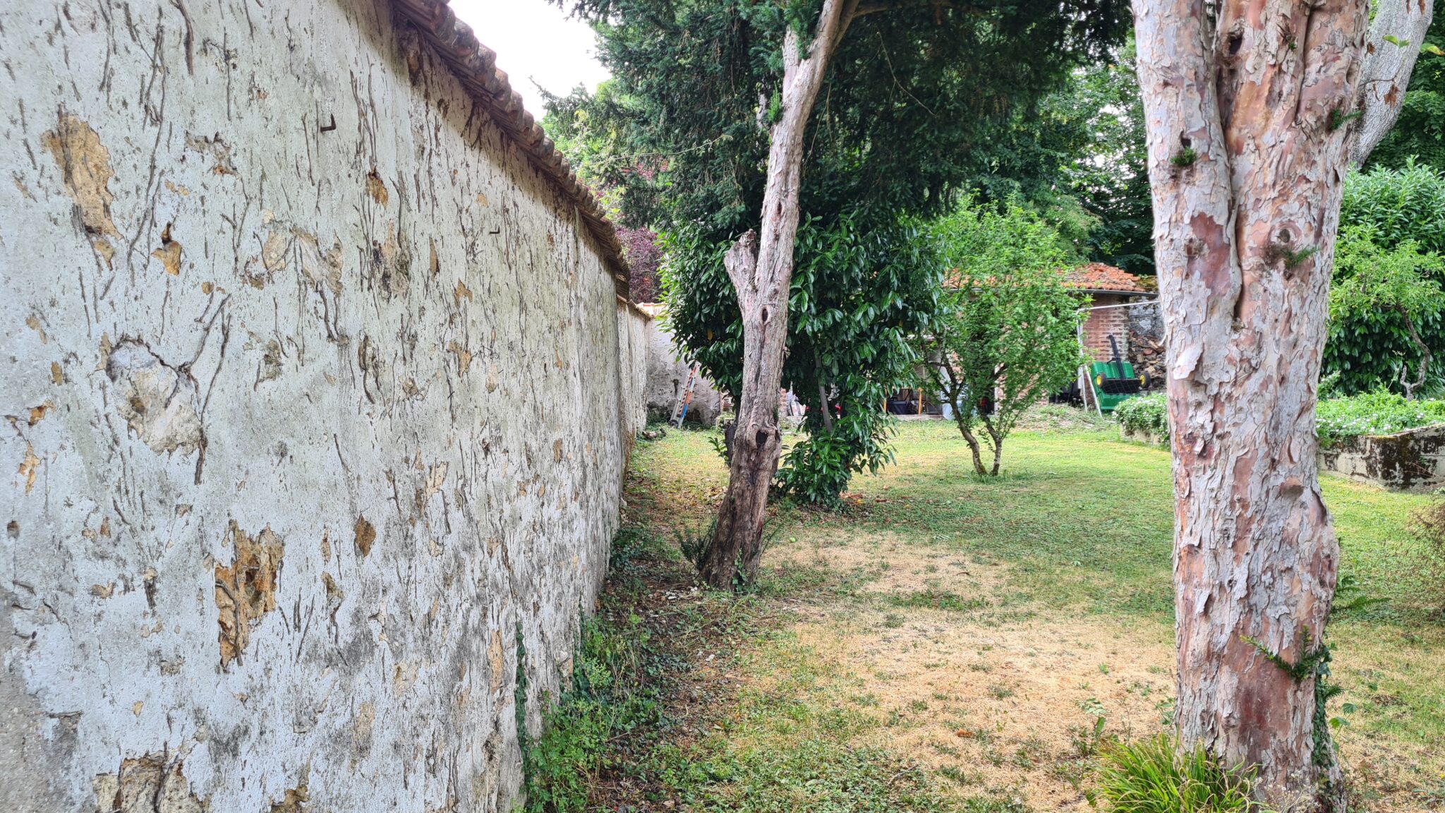 risque effondrement mur de soutènement à cause des arbres qui poussent le mur qui penche